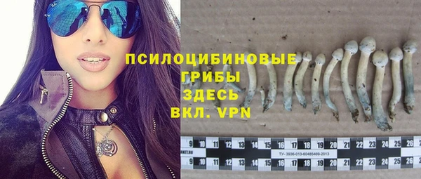 MDMA Premium VHQ Белокуриха