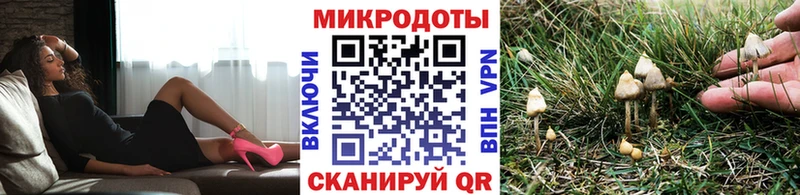 Псилоцибиновые грибы мухоморы  Жиздра 